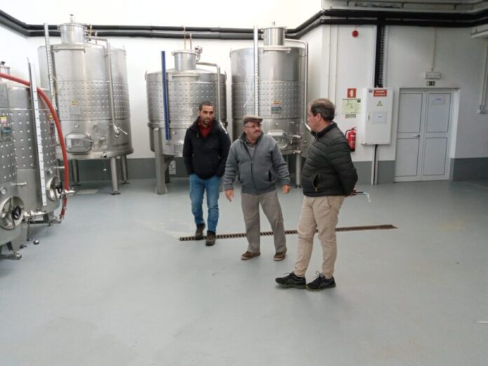 Visita Adega e Cooperativa