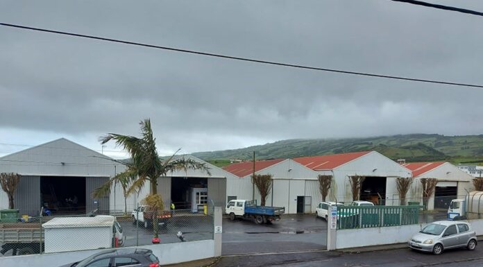Câmara avança com Empreitada de Substituição das Coberturas dos Edifícios Municipais