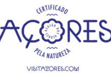 Nova aposta da ATA com voos da United Airlines de Nova Iorque para os Açores
