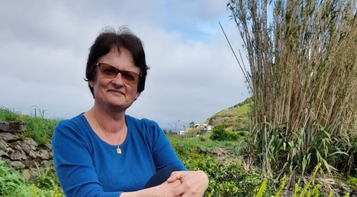 Profissões: Fátima Garcia Goulart é cobradora