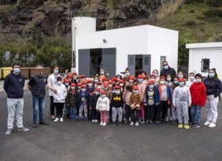 Câmara de Lagoa celebra Dia Mundial da Terra