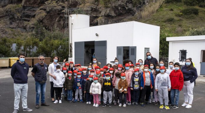 Câmara de Lagoa celebra Dia Mundial da Terra