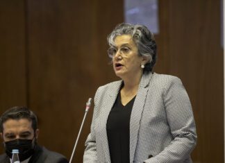 Governo acabou com encaminhamentos gratuitos para as ilhas sem gateway por capricho, destaca Isabel Teixeira