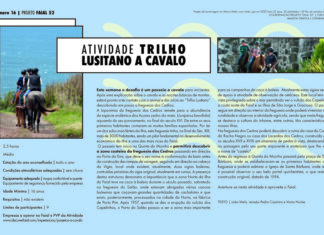 Projeto Faial 52: Trilho Lusitano a cavalo