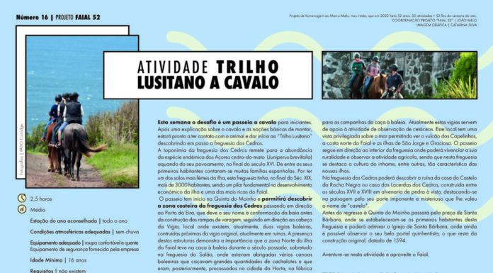 Projeto Faial 52: Trilho Lusitano a cavalo