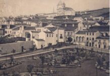 Desabado fictício: As auracárias e as árvores… Jardim da Praça da República