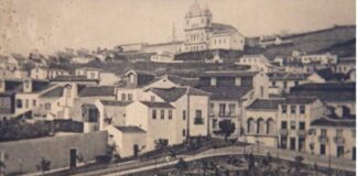 Desabado fictício: As auracárias e as árvores… Jardim da Praça da República
