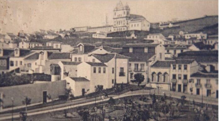 Desabado fictício: As auracárias e as árvores… Jardim da Praça da República