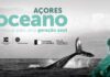 ‘Roadshow’ do programa “Oceano, educar para uma Geração Azul” a partir de terça-feira em quatro ilhas dos Açores