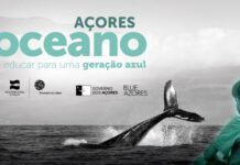 ‘Roadshow’ do programa “Oceano, educar para uma Geração Azul” a partir de terça-feira em quatro ilhas dos Açores