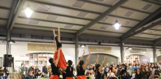 Horta assinala Dia Mundial da Dança