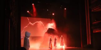 Câmara Municipal da Horta leva idosos ao Musical “Capelinhos”