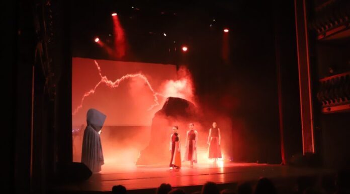 Câmara Municipal da Horta leva idosos ao Musical “Capelinhos”