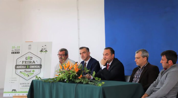 Todos a São Lourenço