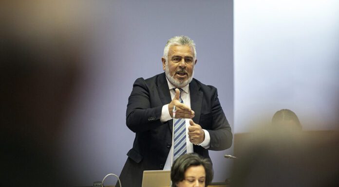 Governo Regional perdeu o norte na gestão da quota de atum patudo nos Açores