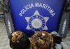 Polícia Marítima apreende 45kg de lapas no Pico