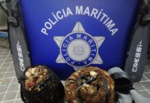 Polícia Marítima apreende 45kg de lapas no Pico