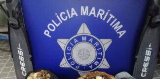 Polícia Marítima apreende 45kg de lapas no Pico