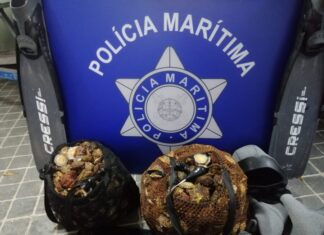 Polícia Marítima apreende 45kg de lapas no Pico