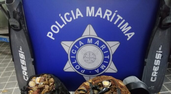 Polícia Marítima apreende 45kg de lapas no Pico
