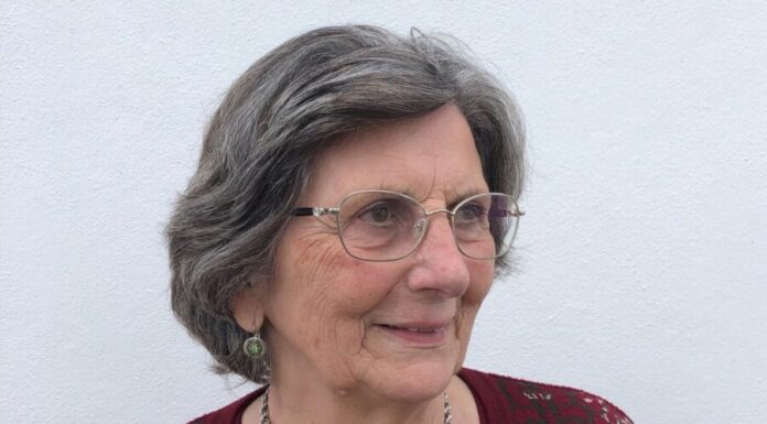 Histórias de Vida: Virgínia Vieira