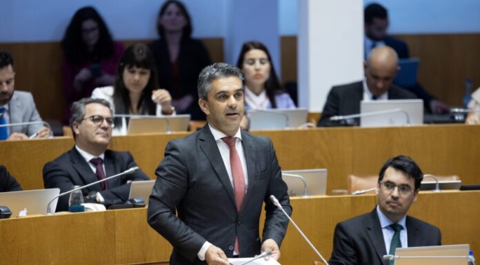 PSD/Açores destaca alteração do regime jurídico da apicultura aprovado em Plenário
