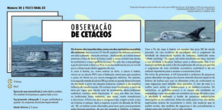Projeto Faial 52: Observação de Cetáceos