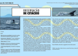 Projeto Faial 52: Observação de Cetáceos