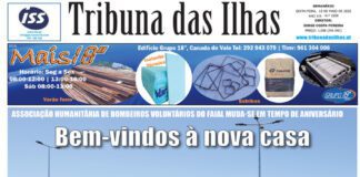 Capa edição n.º 1028