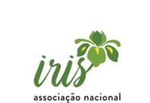 20 de maio – Dia Mundial da Abelha