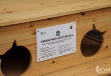 Município renova abrigos e pontos de alimentação para gatos