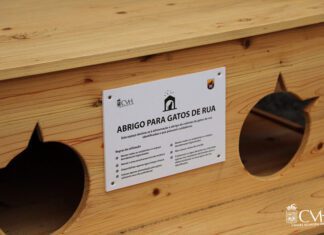 Município renova abrigos e pontos de alimentação para gatos