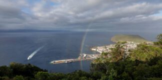 São Jorge é o destino da lua-de-mel das noivas e noivos de Santo António