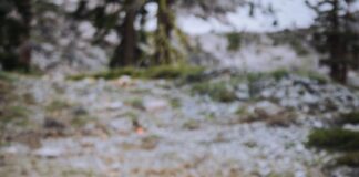 Trail Running: Dário Moitoso foi 29.º na Broken Arrow Sky Race