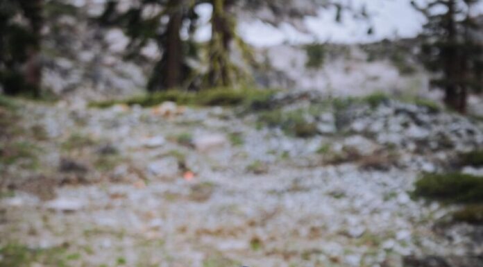 Trail Running: Dário Moitoso foi 29.º na Broken Arrow Sky Race