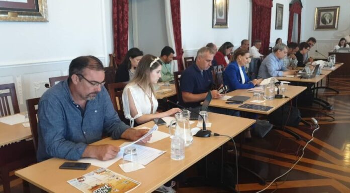 Reordenamento do Porto da Horta e limpeza de algas preocupam deputados