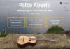 Última edição online do “Palco Aberto – música original com Viola da Terra” decorre a 16 de junho