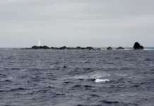 Polícia Marítima apreende 188kg de pescado na Reserva Natural dos Ilhéus das Formigas nos Açores