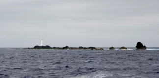 Polícia Marítima apreende 188kg de pescado na Reserva Natural dos Ilhéus das Formigas nos Açores