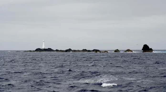 Polícia Marítima apreende 188kg de pescado na Reserva Natural dos Ilhéus das Formigas nos Açores