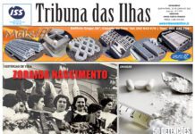 Cara edição n.º 1034, 23 de junho