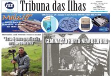 Capa edição n.º 1035, 1 julho