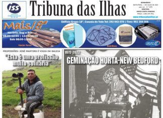 Capa edição n.º 1035, 1 julho