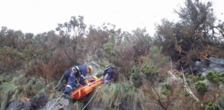 Grupo de Salvamento em Grande Ângulo da AHBVF intervém nas operações “em alturas”