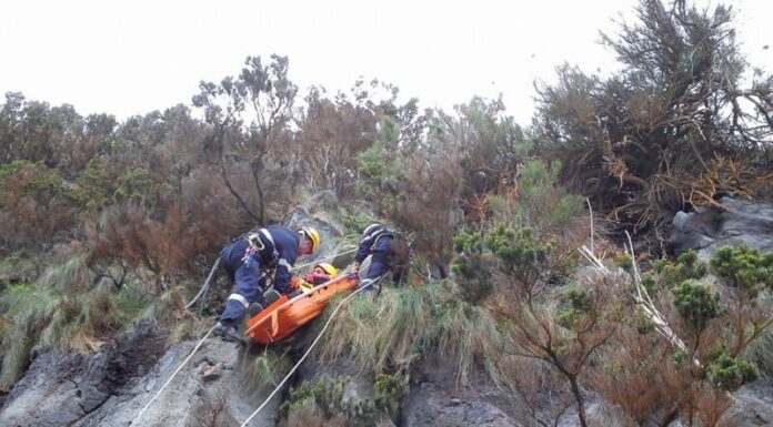 Grupo de Salvamento em Grande Ângulo da AHBVF intervém nas operações “em alturas”