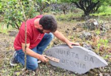 Quinta da Lusofonia estreia com palavras de Saramago e a obra de Carlos Sousa