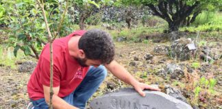 Quinta da Lusofonia estreia com palavras de Saramago e a obra de Carlos Sousa