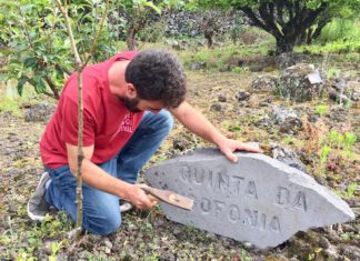 Quinta da Lusofonia estreia com palavras de Saramago e a obra de Carlos Sousa