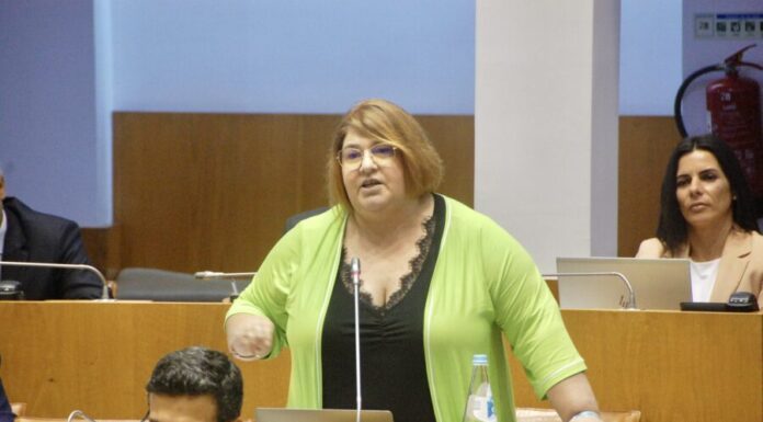 Plenário – Parlamento aprova voto de saudação às iniciativas de orgulho LGBTQIA+ apresentado pelo Bloco de Esquerda