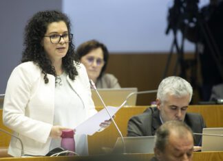 Plenário: Agricultores Açorianos aguardam há mais de ano e meio por apoios do Governo, realça Patrícia Miranda